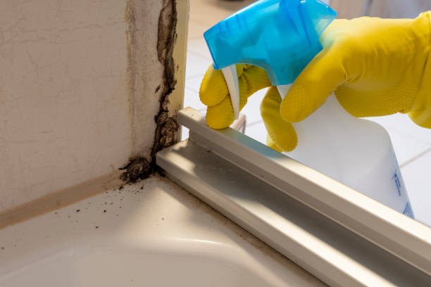 Best Industrial Mold Remediation in Donora, PA